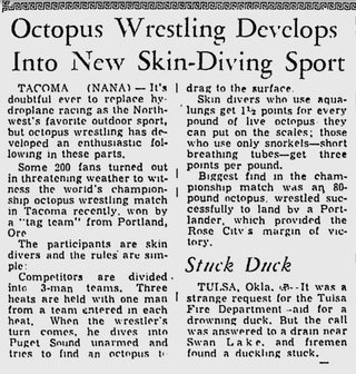 Illustration for article titled Octopus Wrestling, A Sport That Amounted To Cephalopod Home Invasion